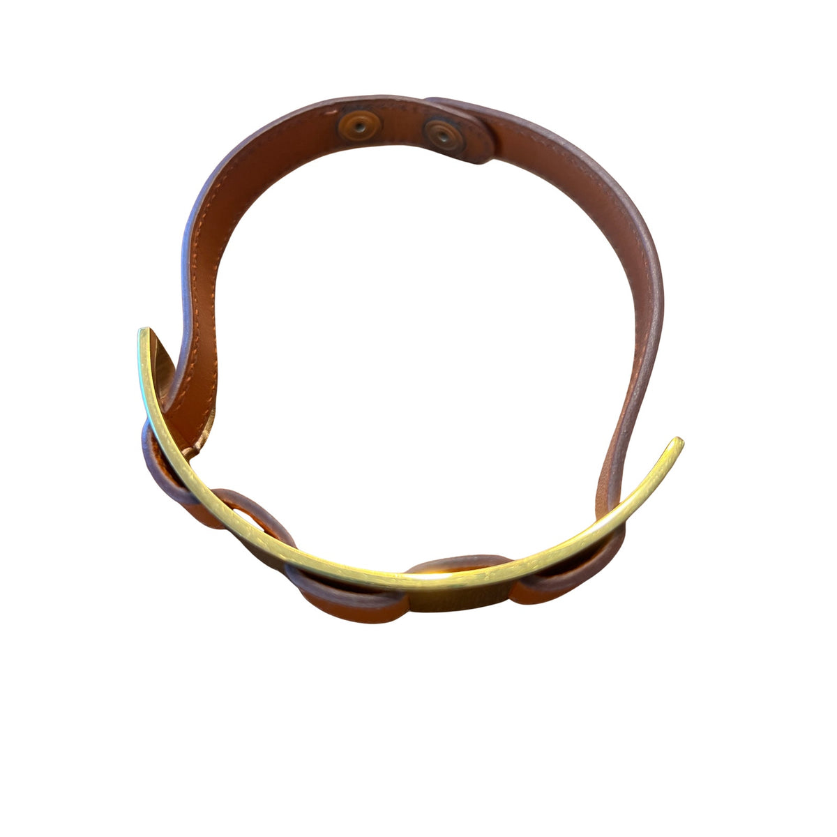 Hermès Leather & Gold-Tone Dog Collar | Orange & Brown | Adjustable
