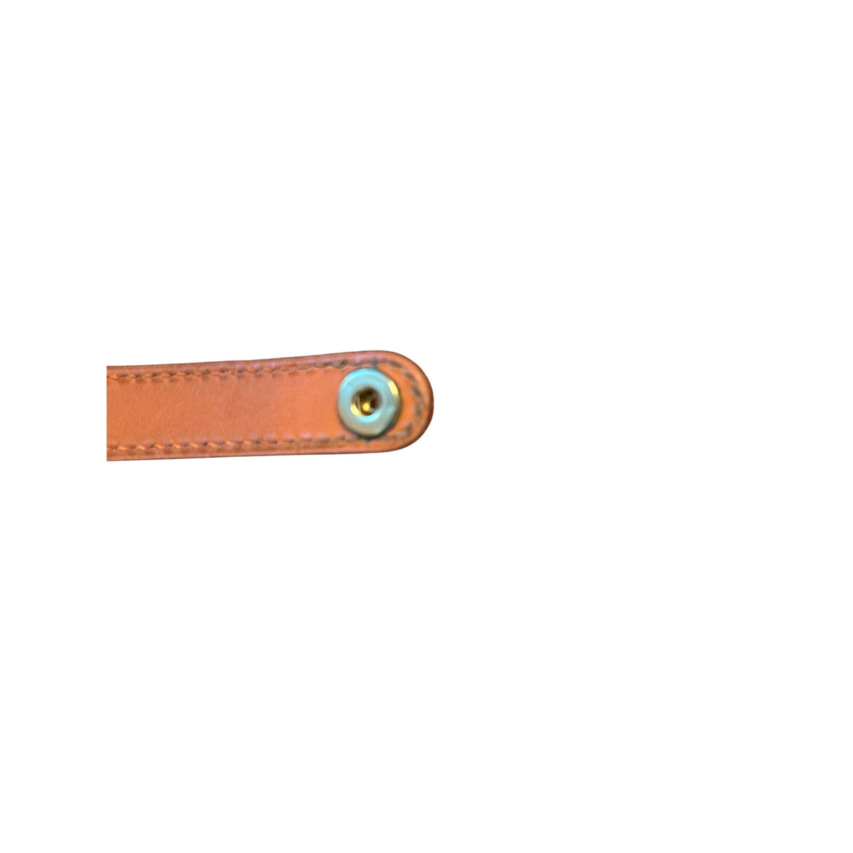 Hermès Leather & Gold-Tone Dog Collar | Orange & Brown | Adjustable