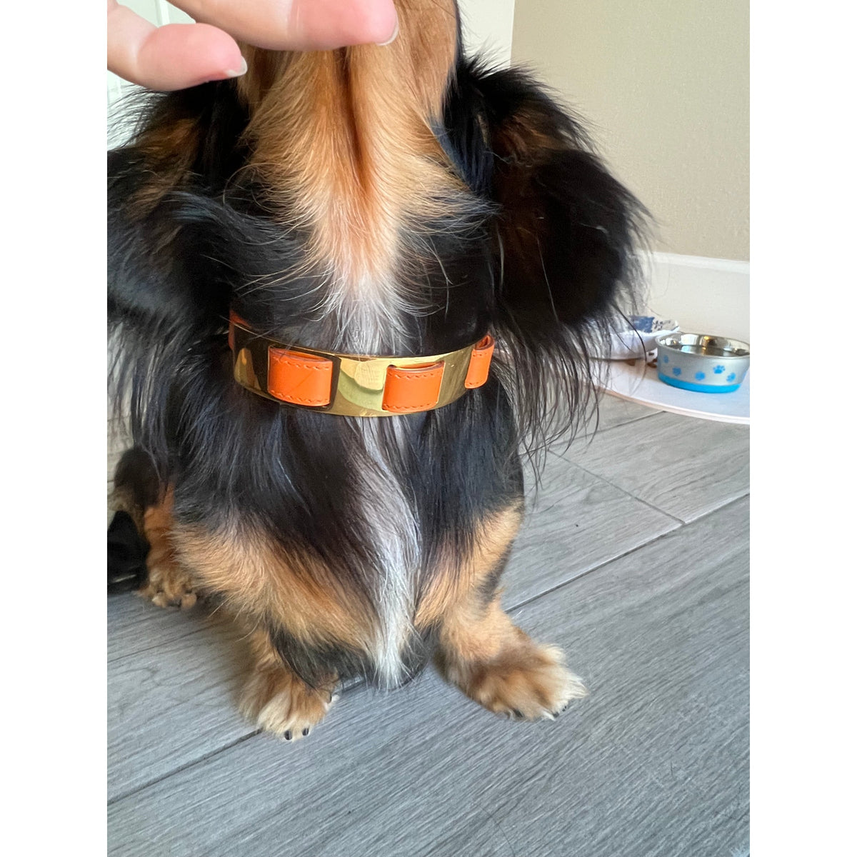 Hermès Leather & Gold-Tone Dog Collar | Orange & Brown | Adjustable