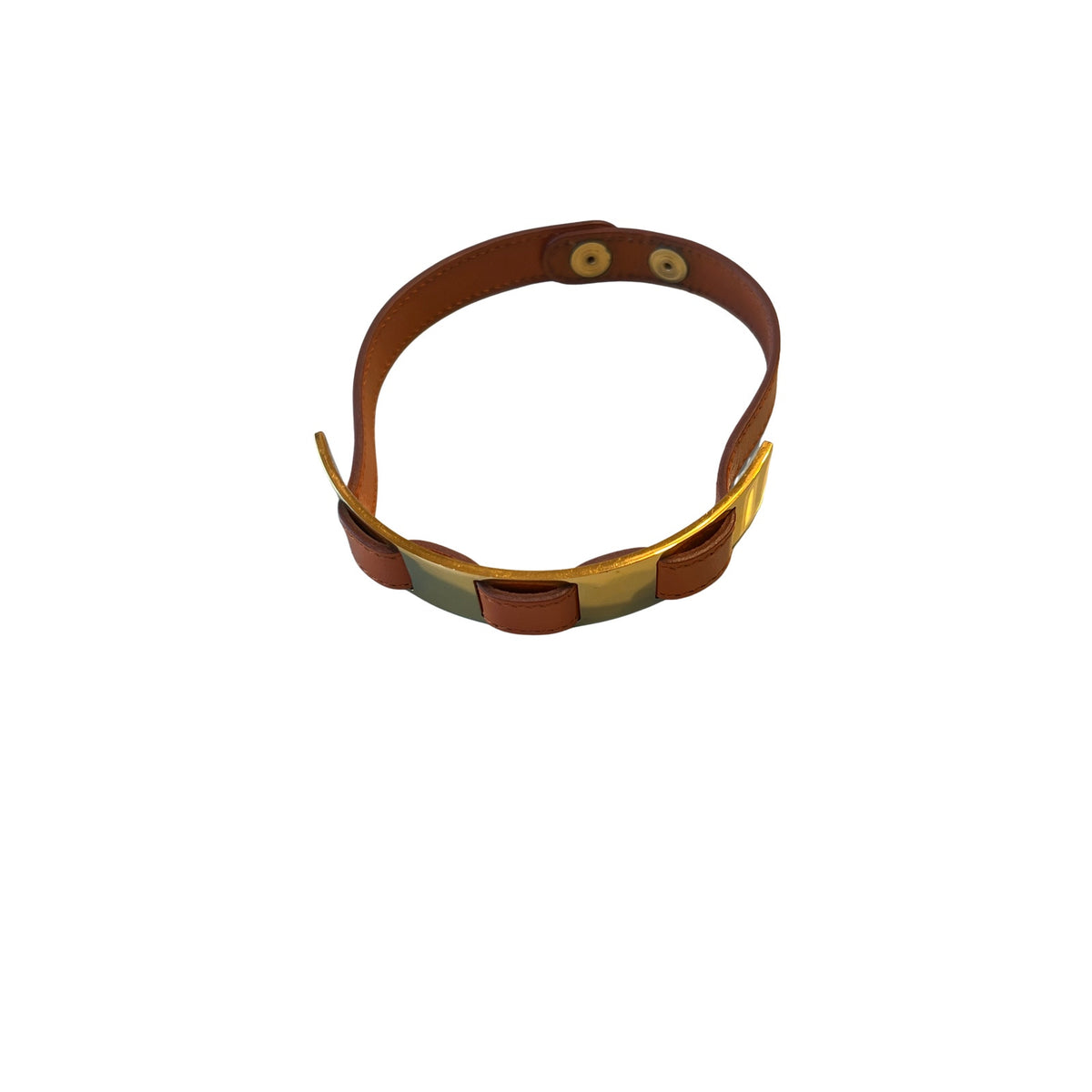 Hermès Leather & Gold-Tone Dog Collar | Orange & Brown | Adjustable