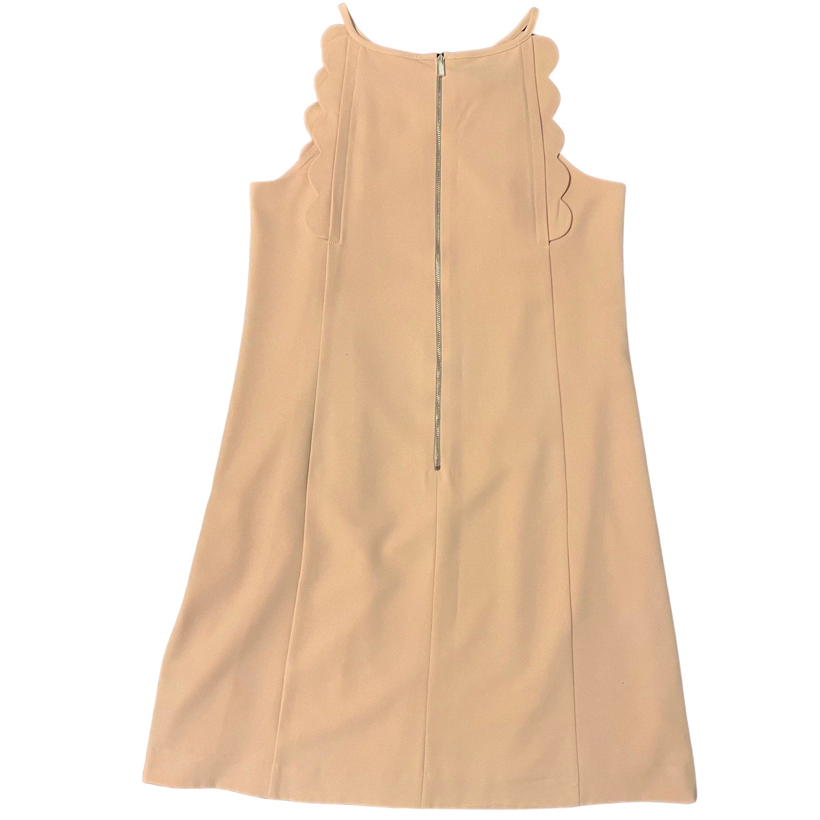 Ann Taylor Scalloped Neck Shift Dress