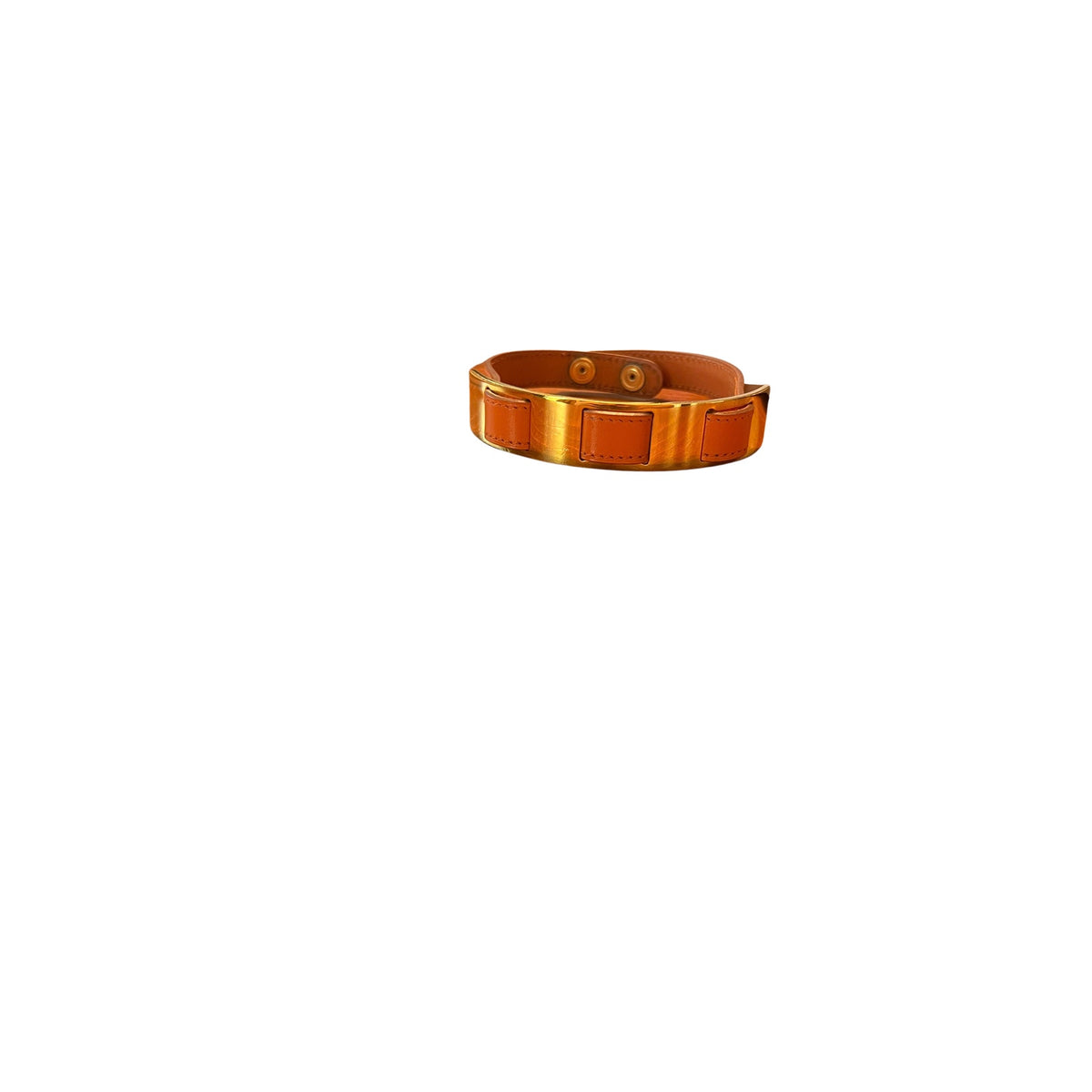 Hermès Leather & Gold-Tone Dog Collar | Orange & Brown | Adjustable